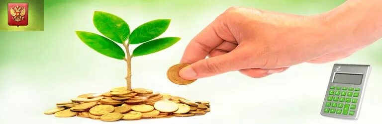 Информация для юридических лиц и ИП, осуществляющих деятельность на территории Кикнурского МО на объектах НВОС.